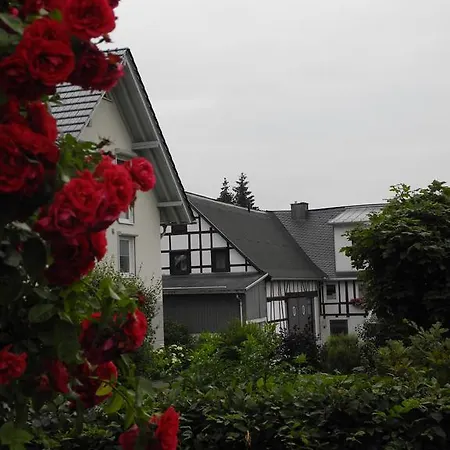 Wilkenhof Willingen (Upland)