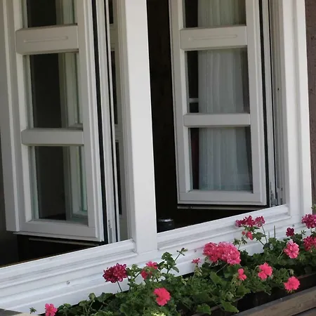 Wilkenhof Willingen (Upland)